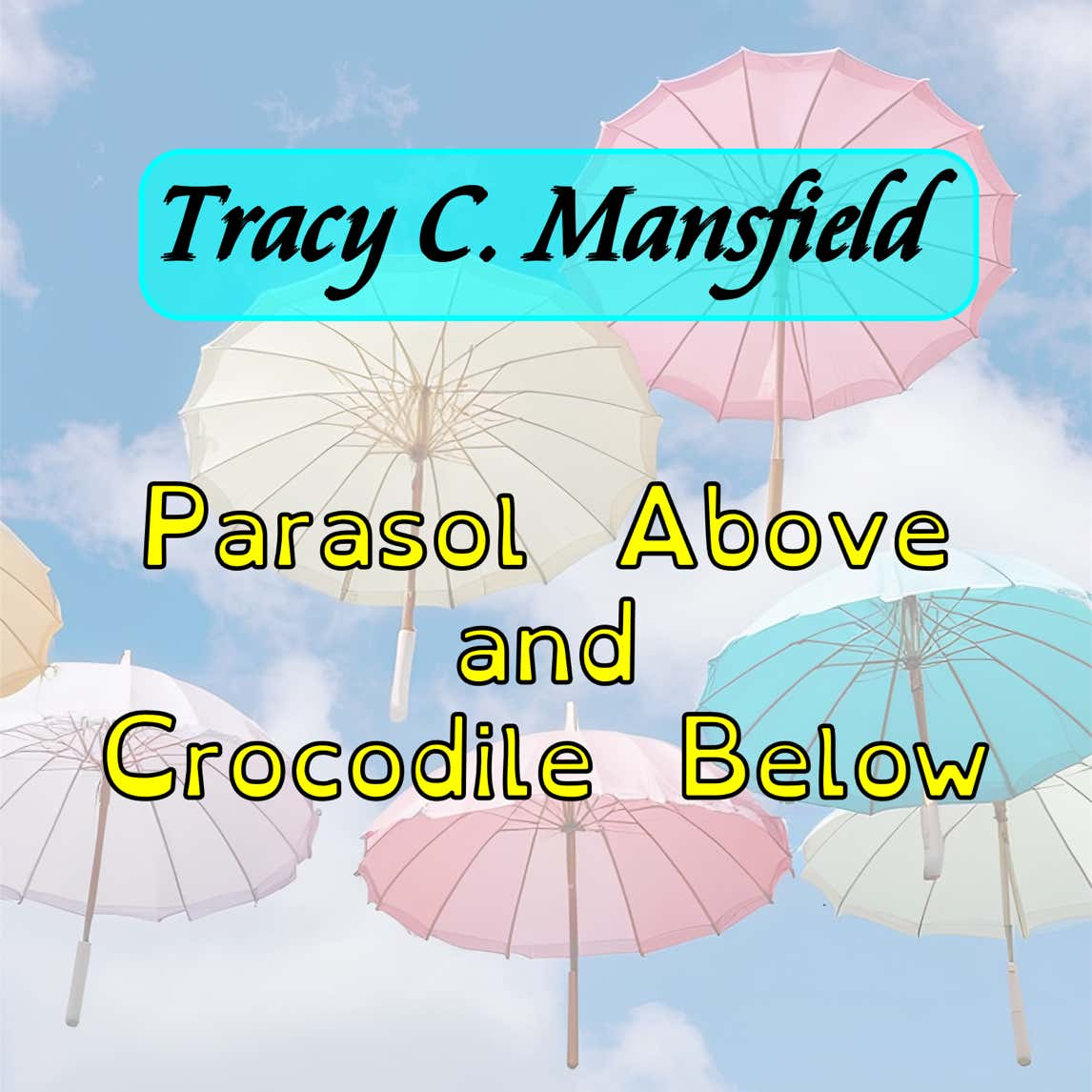 Album cover for "Parasol Above and Crocodile Below"