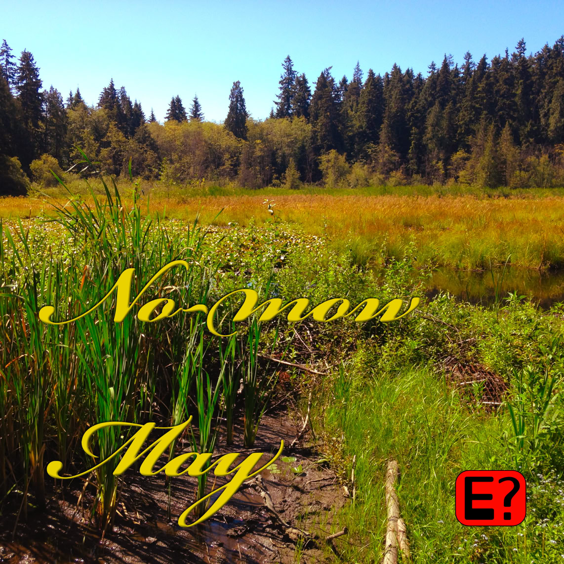 Album cover for "No-mow May"
