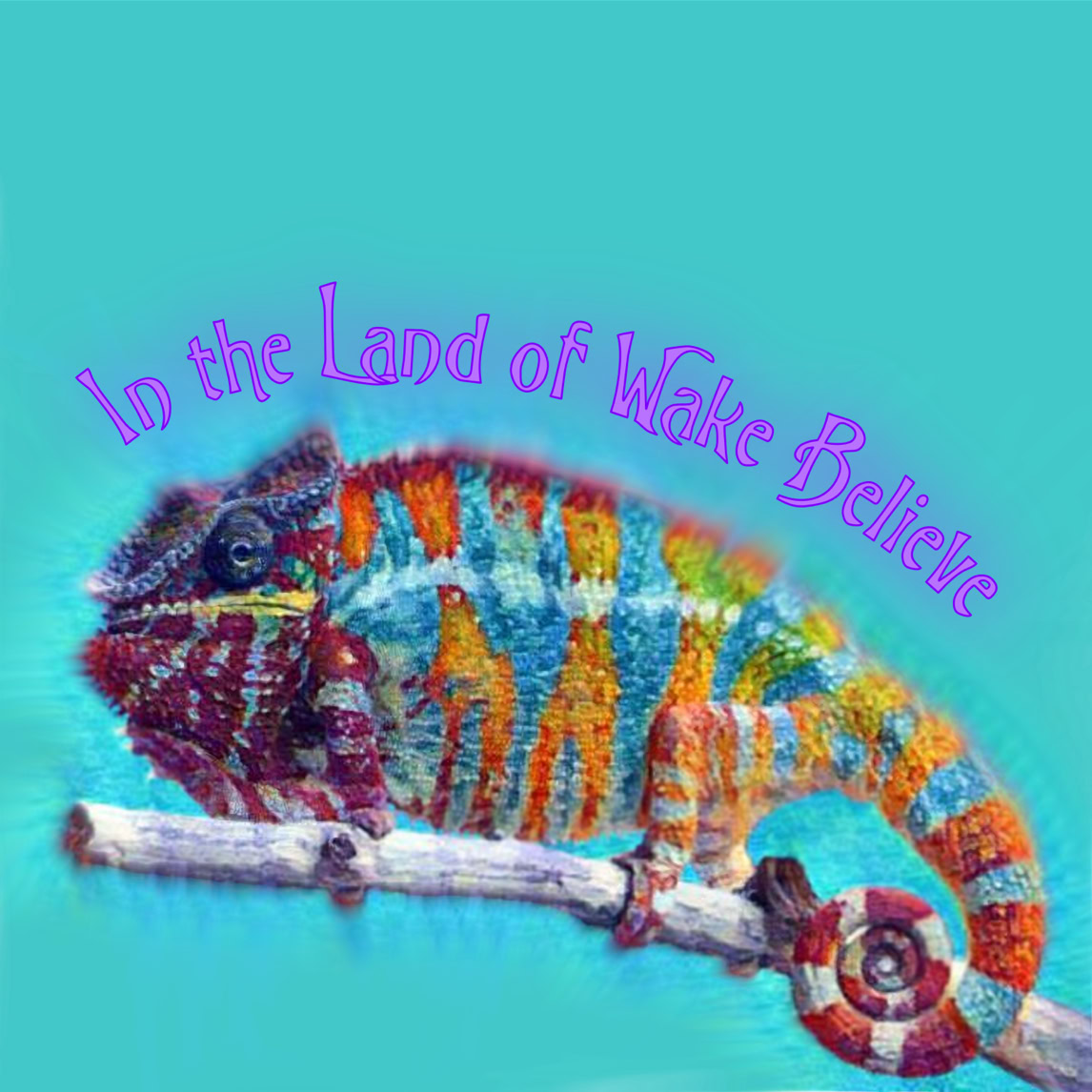 Album cover for "In the Land of Wake Believe"