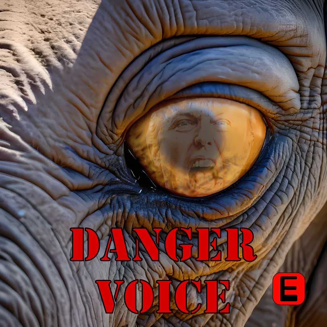 Album cover for "Danger Voice"